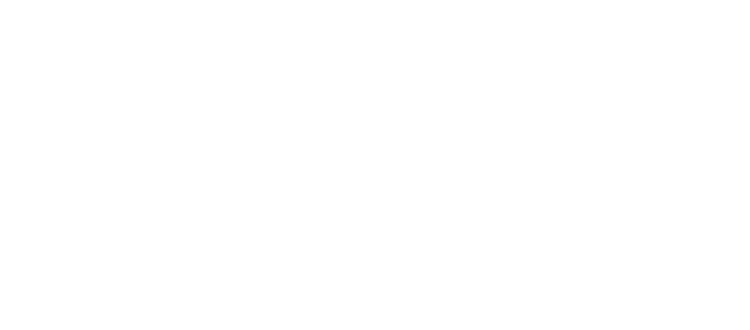Orlické hory